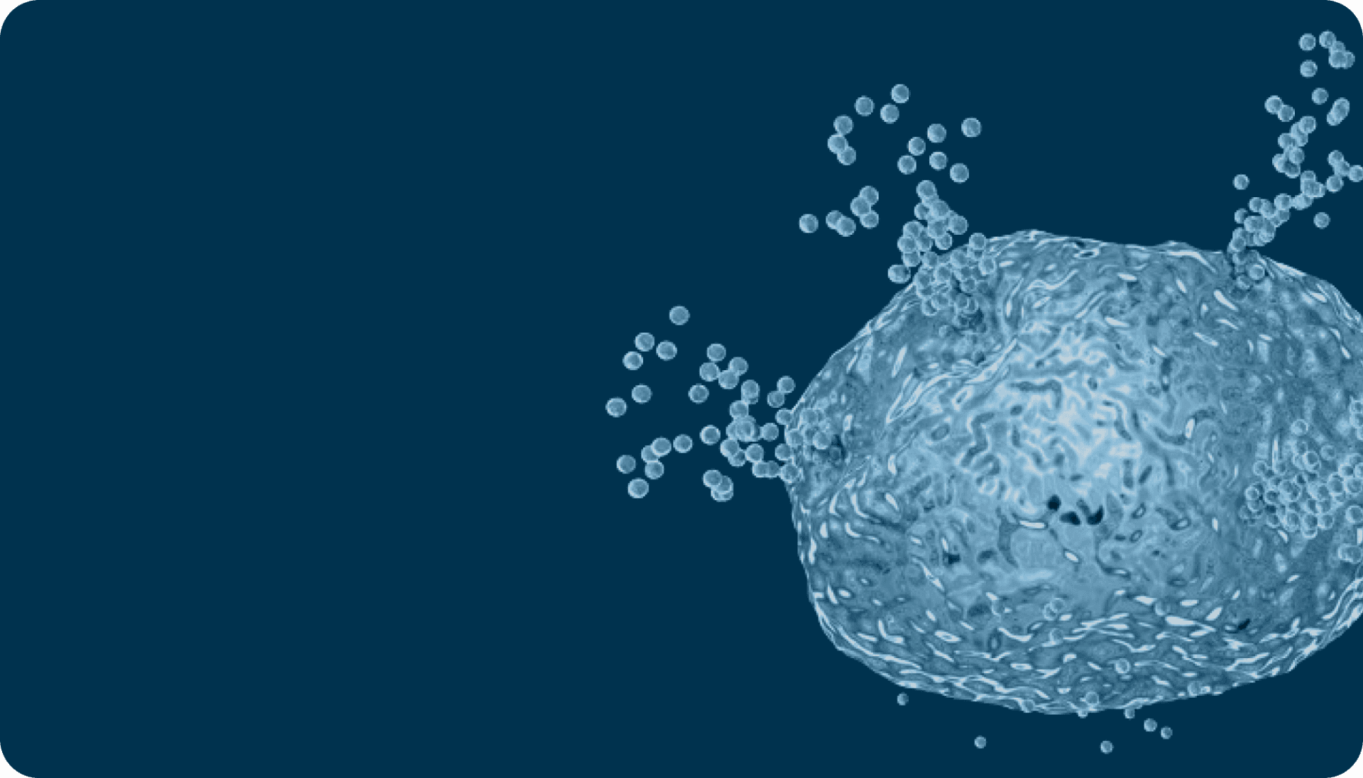 Mast Cell Activation Syndrome (MCAS)